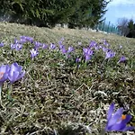 Pansiyon Czarna Jagoda Czarna Góra